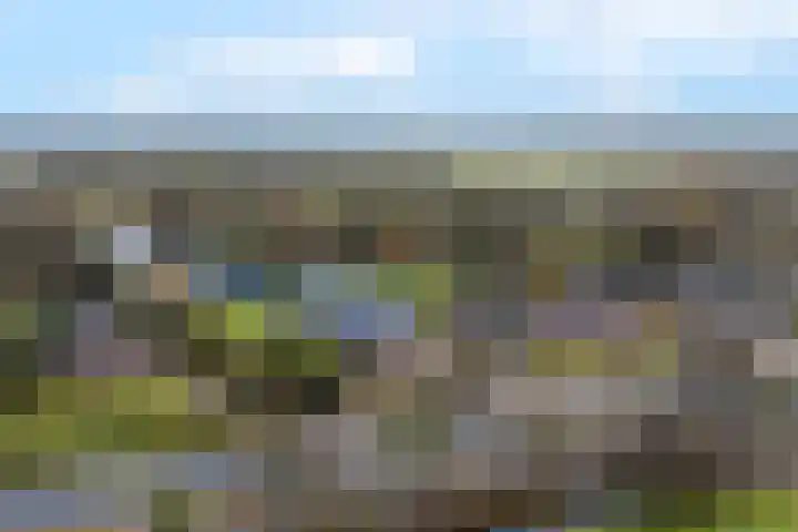 West 60 Buitenpost thumbnail 67