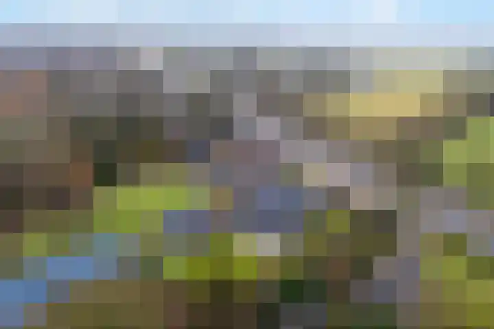 West 60 Buitenpost thumbnail 68