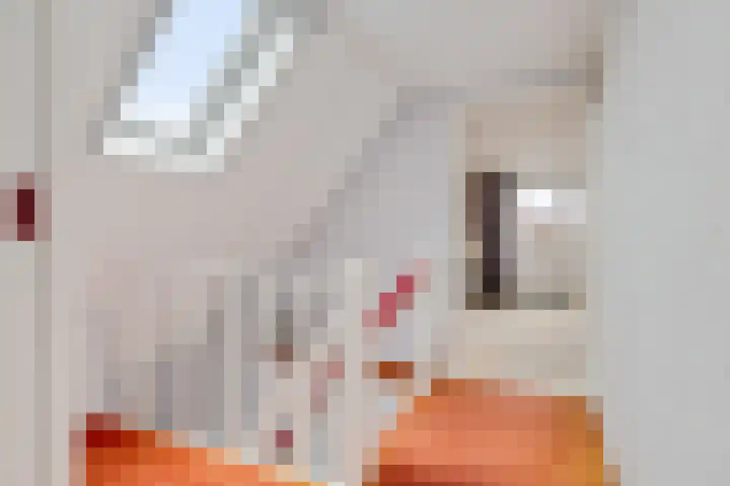 West 74 Avenhorn thumbnail 17