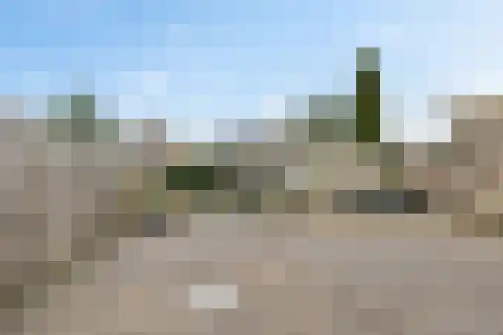 West 74 Avenhorn thumbnail 31