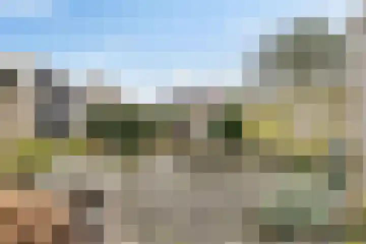 West 74 Avenhorn thumbnail 32