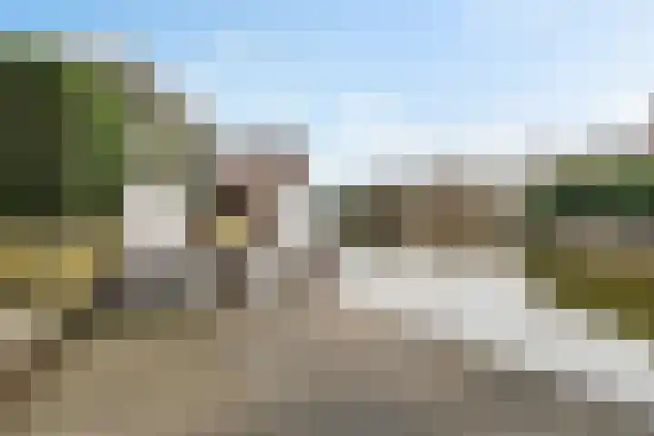 West 74 Avenhorn thumbnail 33