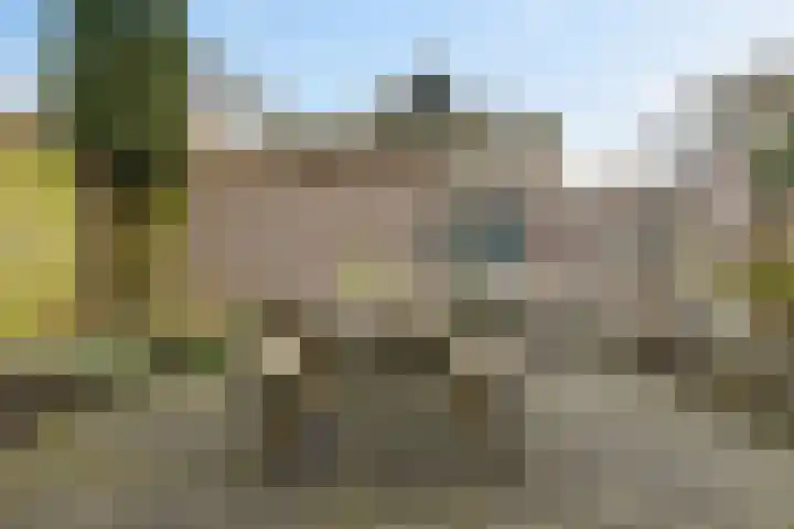 West 74 Avenhorn thumbnail 35