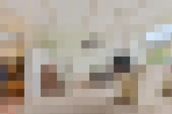 West 74 Avenhorn thumbnail 4