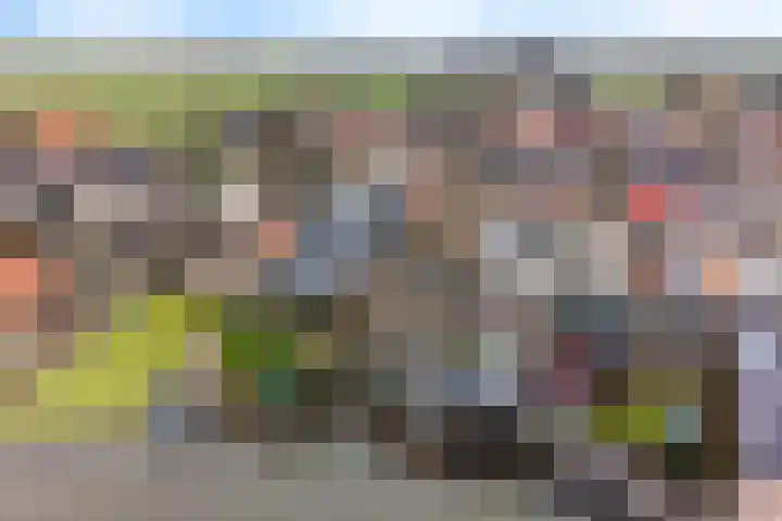 West 74 Avenhorn thumbnail 48