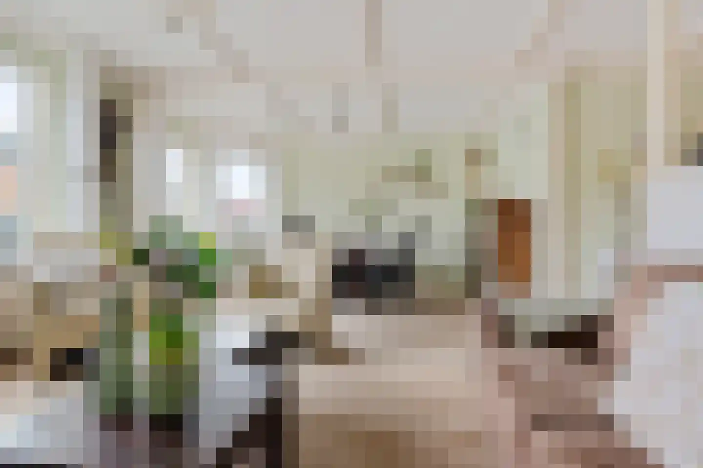 West 74 Avenhorn thumbnail 5
