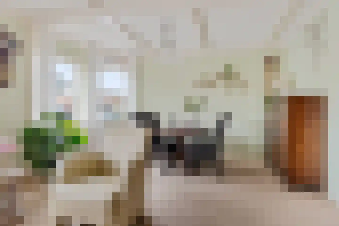 West 74 Avenhorn thumbnail 6