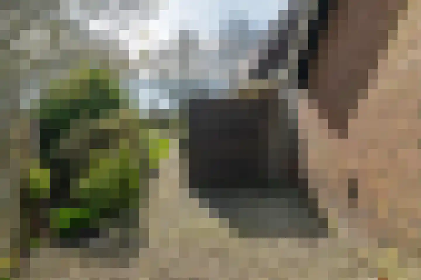 West 82 Buitenpost thumbnail 32