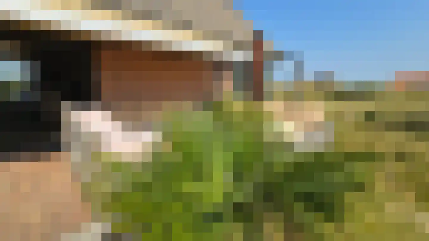 West aan Zee 105 West-Terschelling thumbnail 20