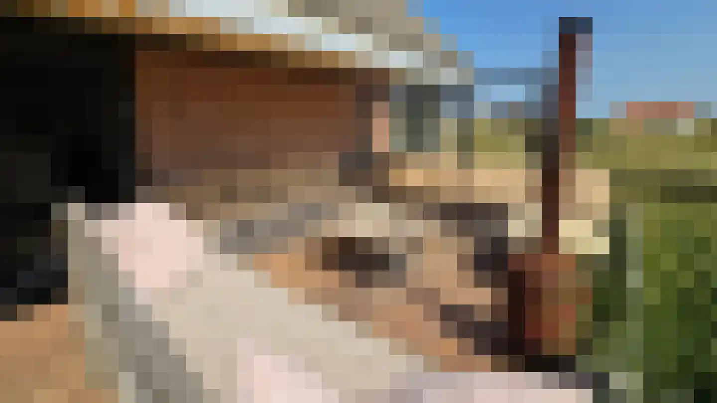 West aan Zee 105 West-Terschelling thumbnail 22