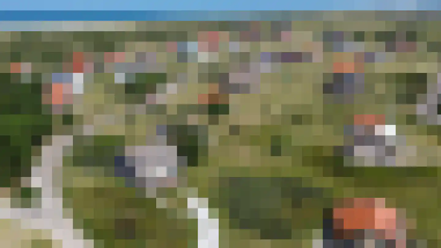 West aan Zee 105 West-Terschelling thumbnail 50