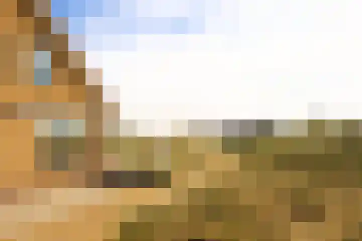 West aan Zee 130 West-Terschelling thumbnail 6