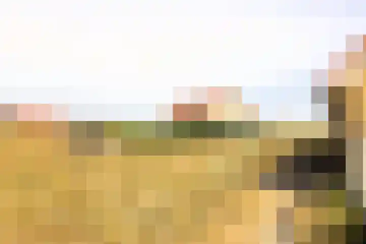 West aan Zee 130 West-Terschelling thumbnail 8