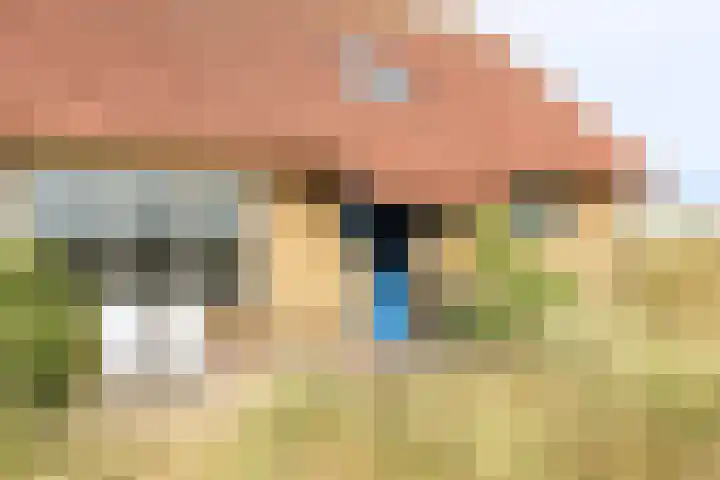 West aan Zee 130 West-Terschelling thumbnail 9
