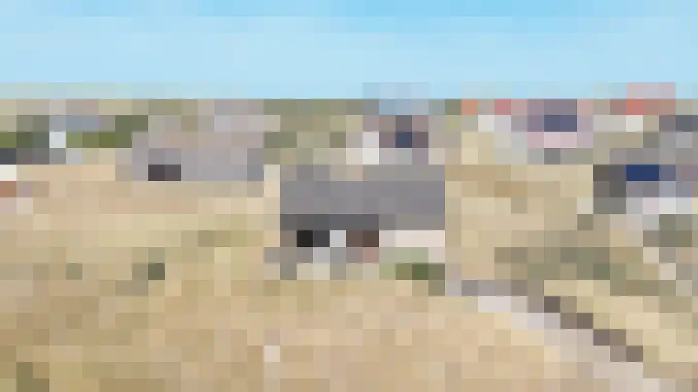 West aan Zee 160 West-Terschelling thumbnail 39