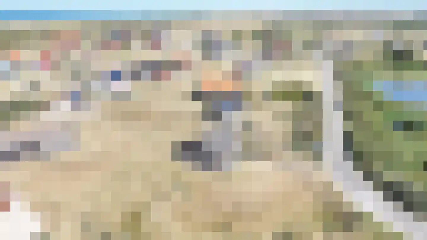 West aan Zee 160 West-Terschelling thumbnail 40