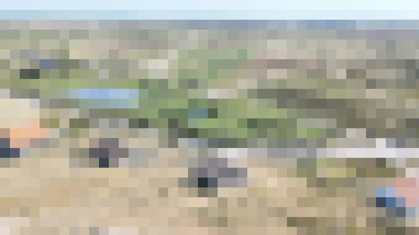West aan Zee 160 West-Terschelling thumbnail 41