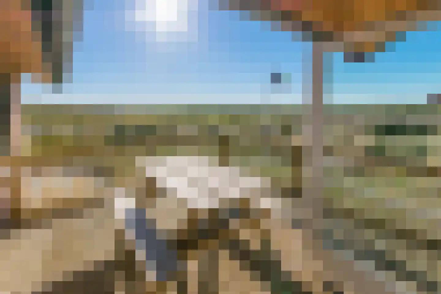 West aan Zee 170 West-Terschelling thumbnail 19