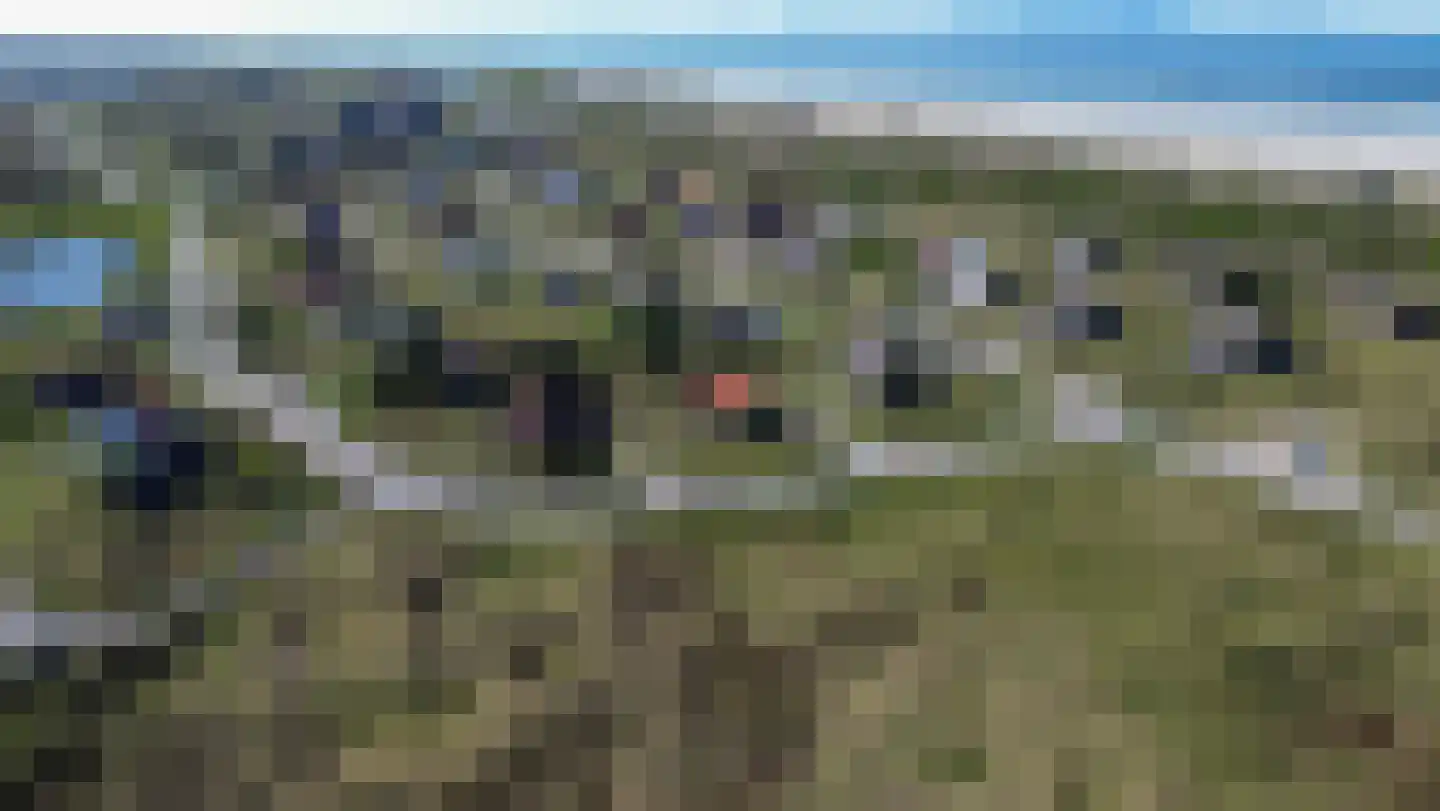 West aan Zee 170 West-Terschelling thumbnail 22
