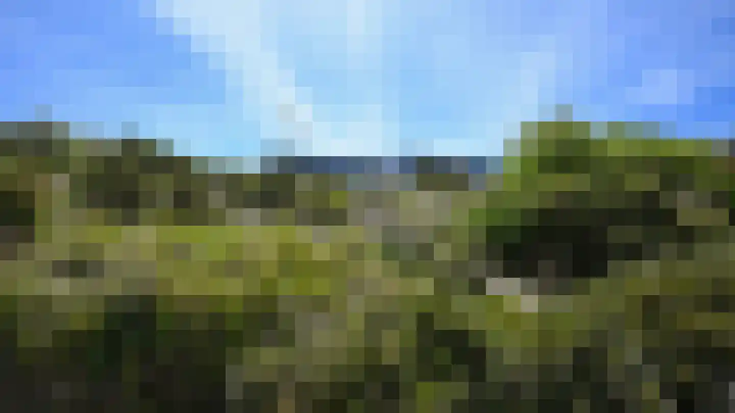 West aan Zee 181 West-Terschelling thumbnail 18