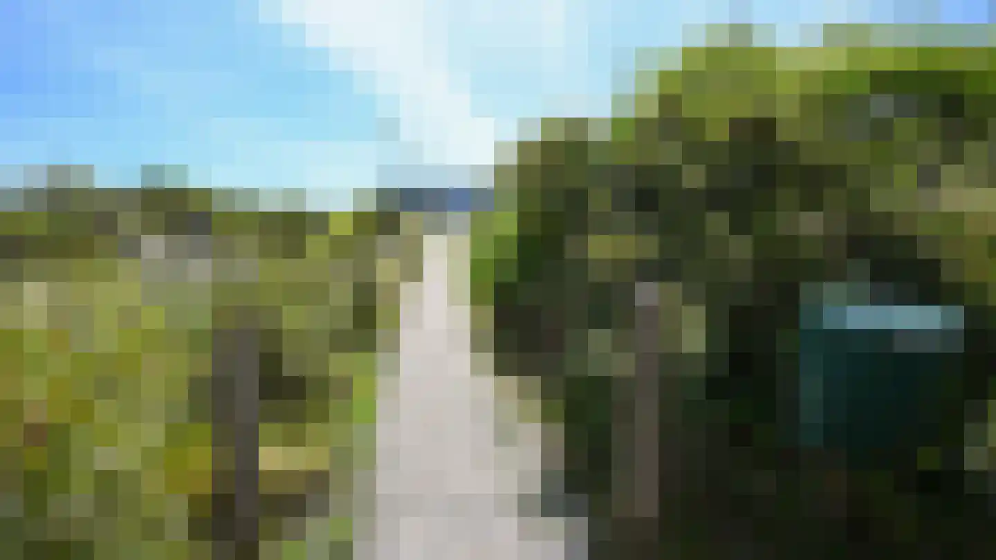 West aan Zee 181 West-Terschelling thumbnail 19