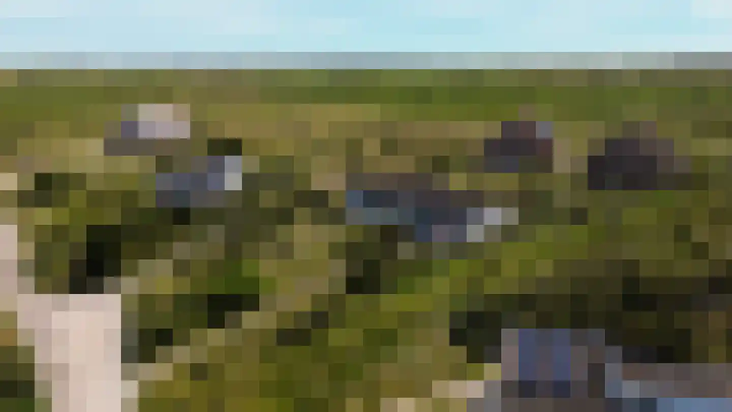 West aan Zee 181 West-Terschelling thumbnail 21
