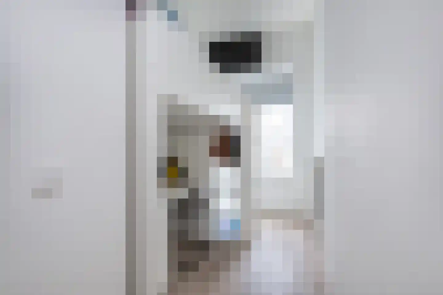 West Achterweg 2 d Oude-Tonge thumbnail 16