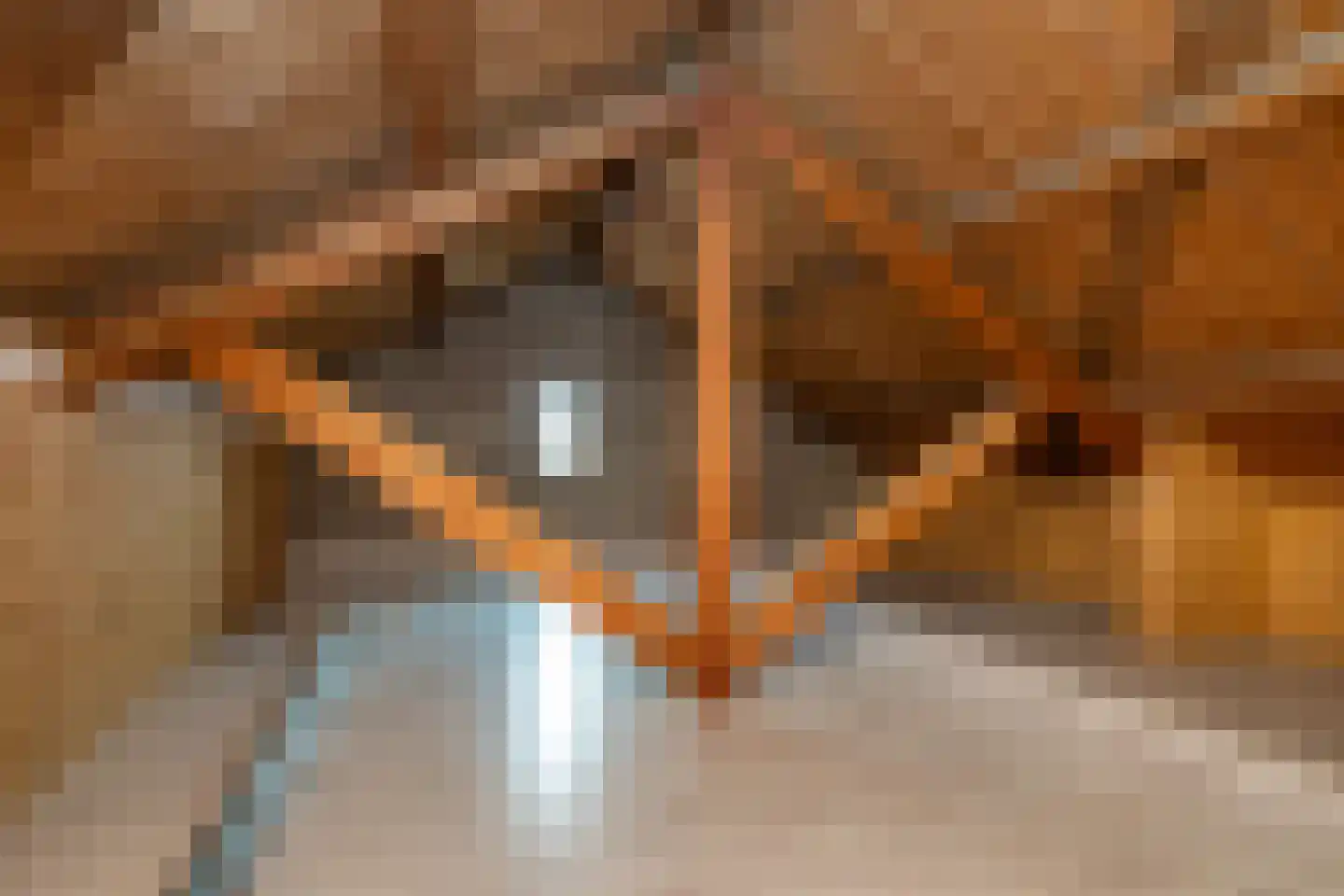 West Achterweg 2 d Oude-Tonge thumbnail 22