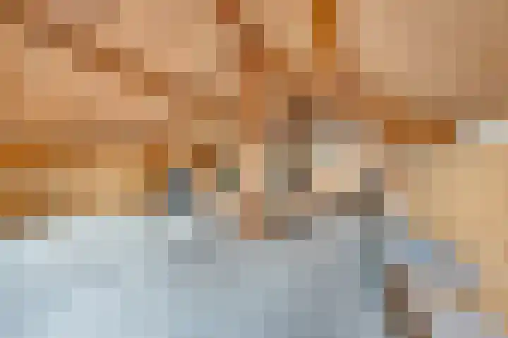West Achterweg 2 d Oude-Tonge thumbnail 26