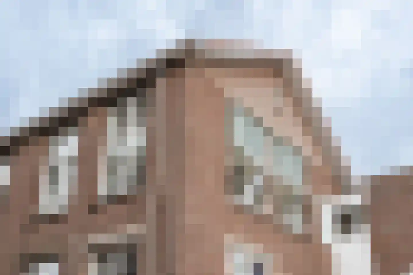 West Achterweg 2 d Oude-Tonge thumbnail 27