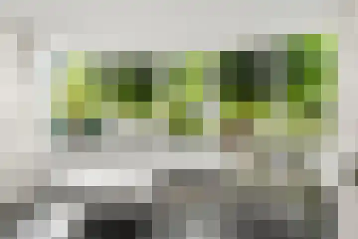 West Breukelderweg 6 Bennekom thumbnail 13