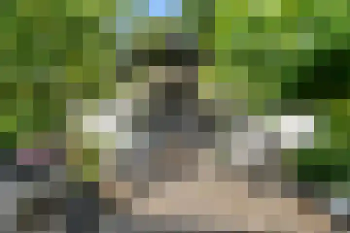 West Breukelderweg 6 Bennekom thumbnail 37