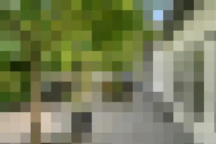 West Breukelderweg 6 Bennekom thumbnail 39
