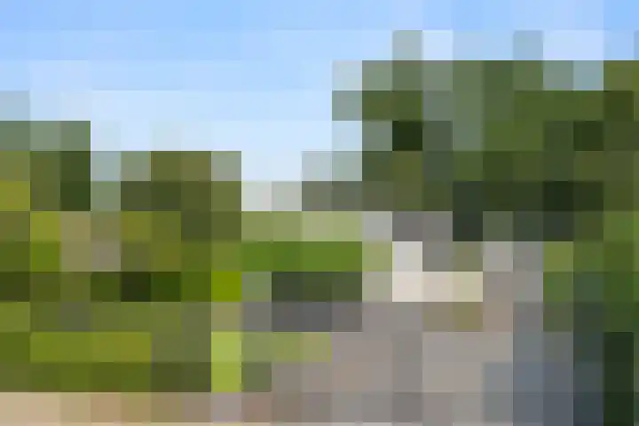 West Breukelderweg 6 Bennekom thumbnail 4