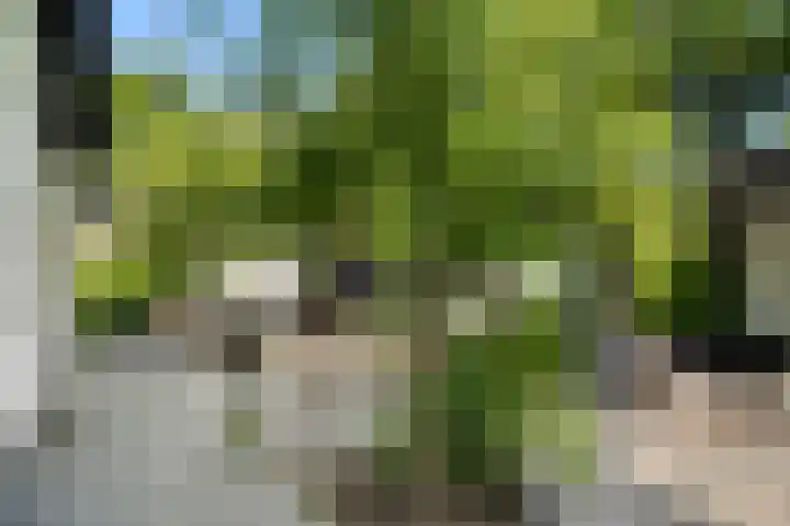 West Breukelderweg 6 Bennekom thumbnail 41