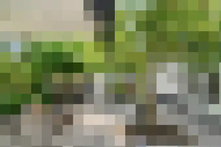 West Breukelderweg 6 Bennekom thumbnail 42