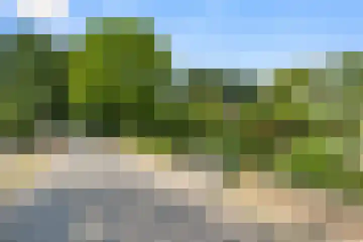 West Breukelderweg 6 Bennekom thumbnail 5