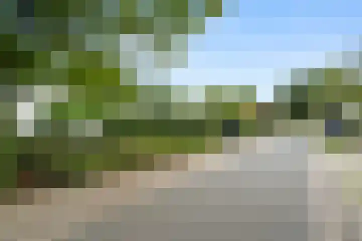 West Breukelderweg 6 Bennekom thumbnail 6