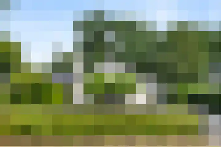West Breukelderweg 6 Bennekom thumbnail 7