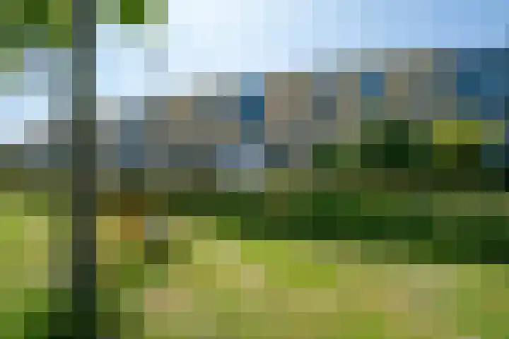 West-Frieslandsingel 54 Heerhugowaard thumbnail 45