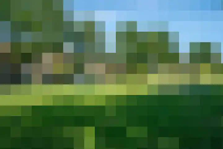 West-Frieslandsingel 54 Heerhugowaard thumbnail 47