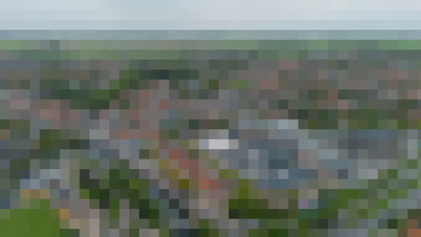 West Havendijk 29 Dirksland thumbnail 32