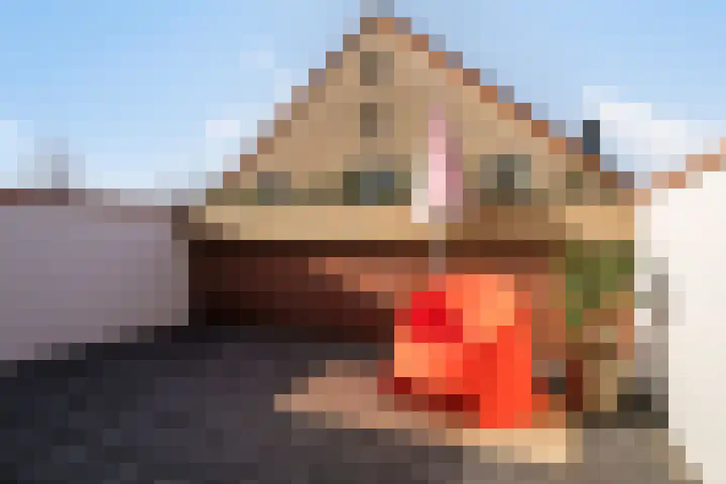 West-Havendijk 38 Steenbergen thumbnail 22