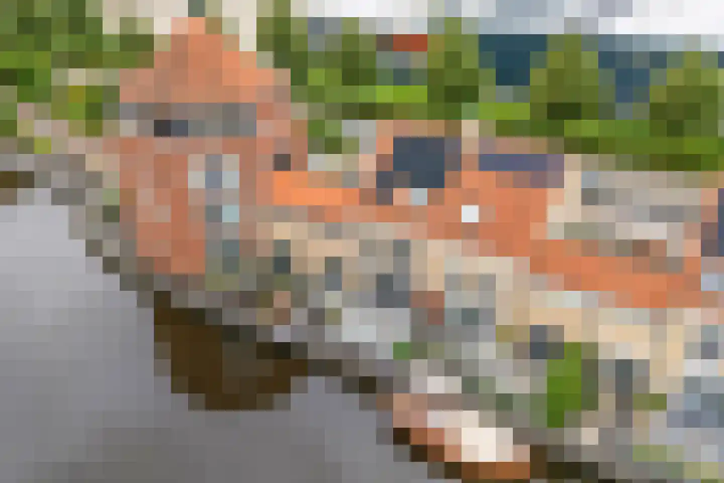 West-Havendijk 40 Steenbergen thumbnail 60