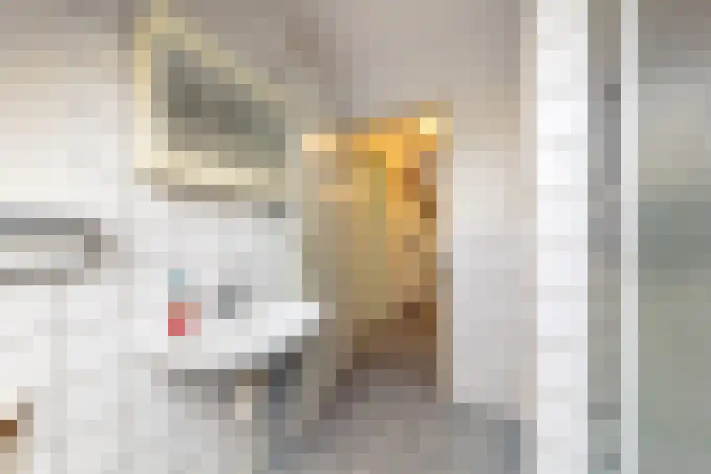 West Havendijk 41 Dirksland thumbnail 24