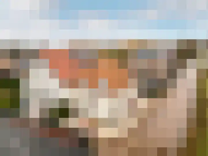West Havendijk 41 Dirksland thumbnail 27