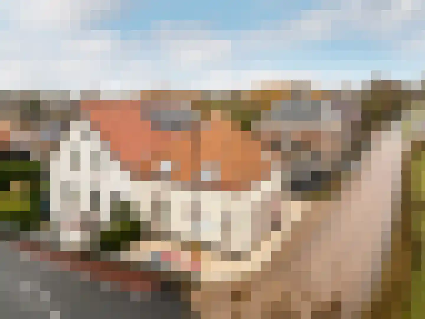 West Havendijk 41 Dirksland thumbnail 27
