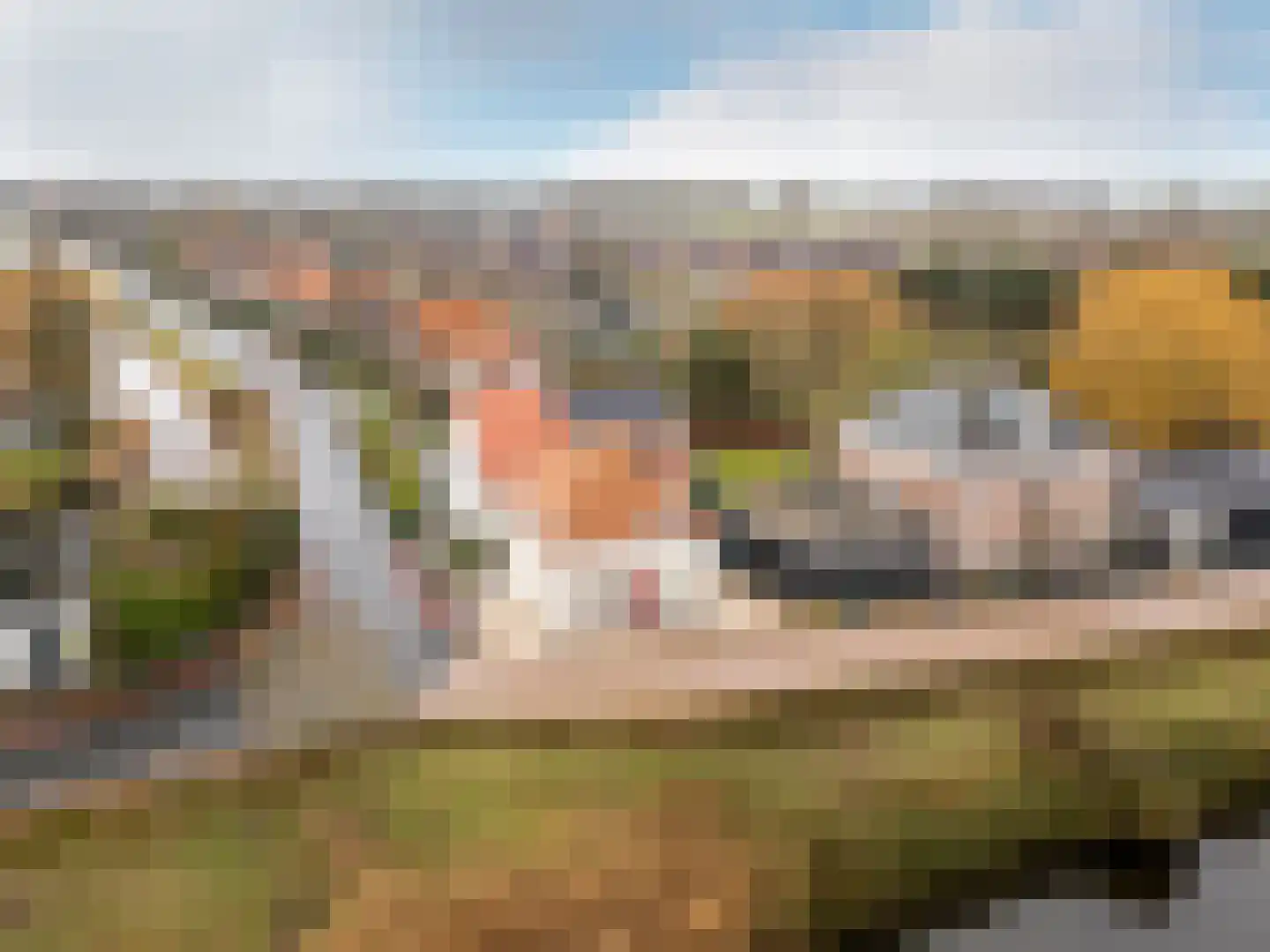 West Havendijk 41 Dirksland thumbnail 29