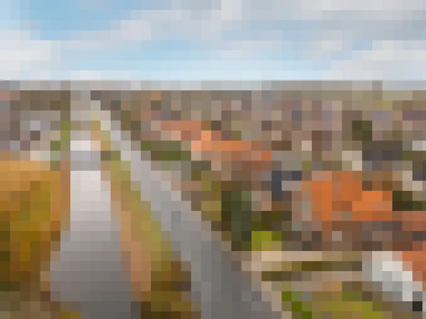 West Havendijk 41 Dirksland thumbnail 30