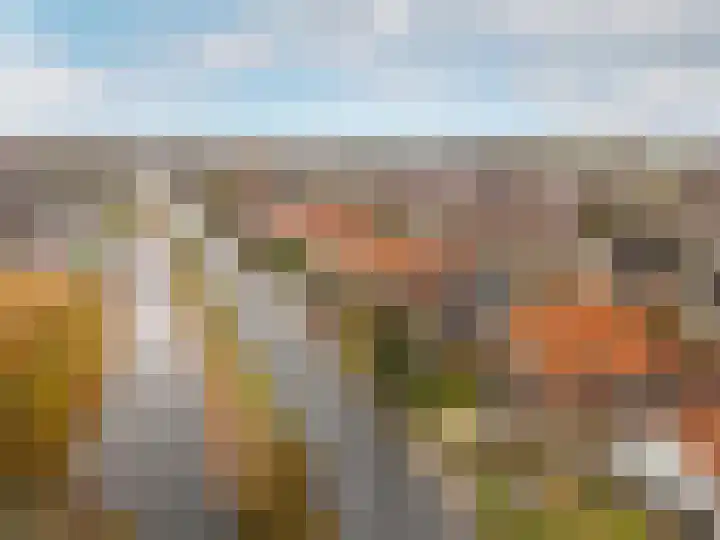 West Havendijk 41 Dirksland thumbnail 30